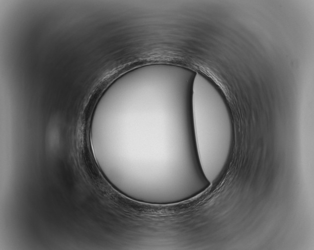 X0000096210675200801181010