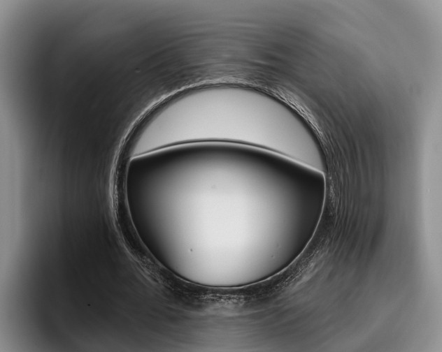 X0000096210676200801181010