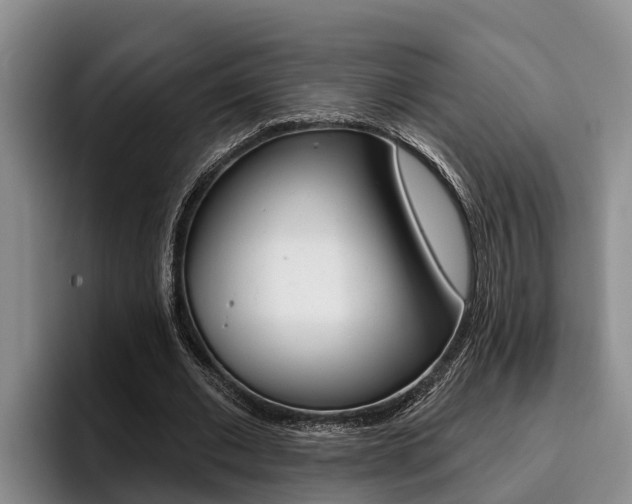 X0000096210677200801181010