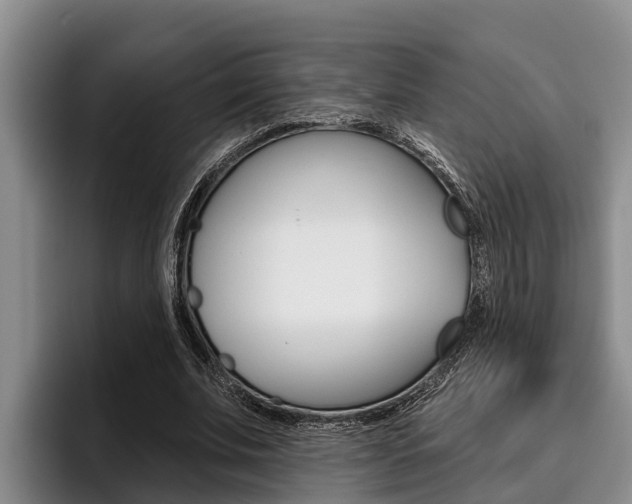 X0000096210679200801181010