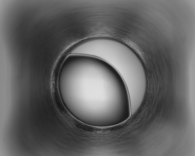 X0000096210680200801181010