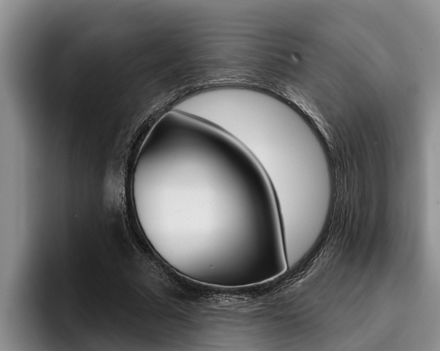 X0000096210681200801181010