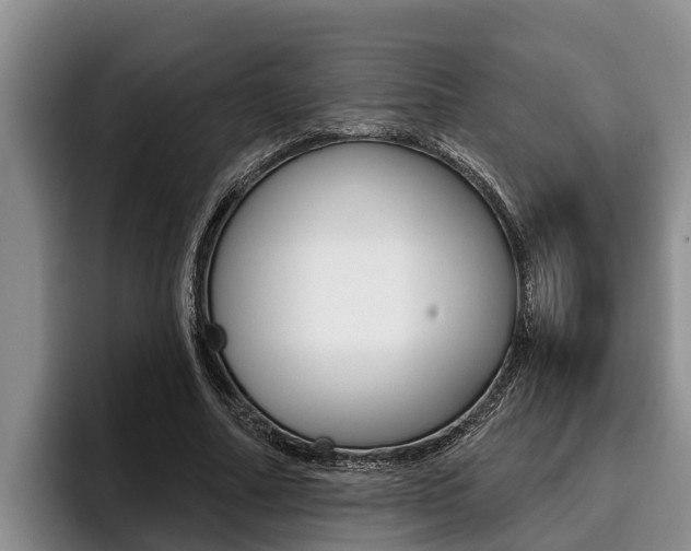 X0000096210682200801181010