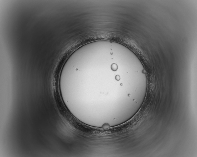 X0000096210683200801181010