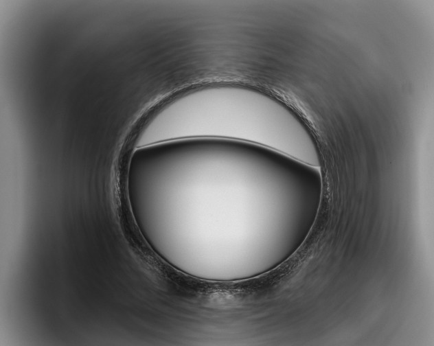 X0000096210684200801181010