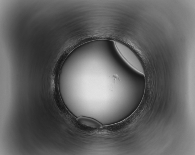X0000096210685200801181010
