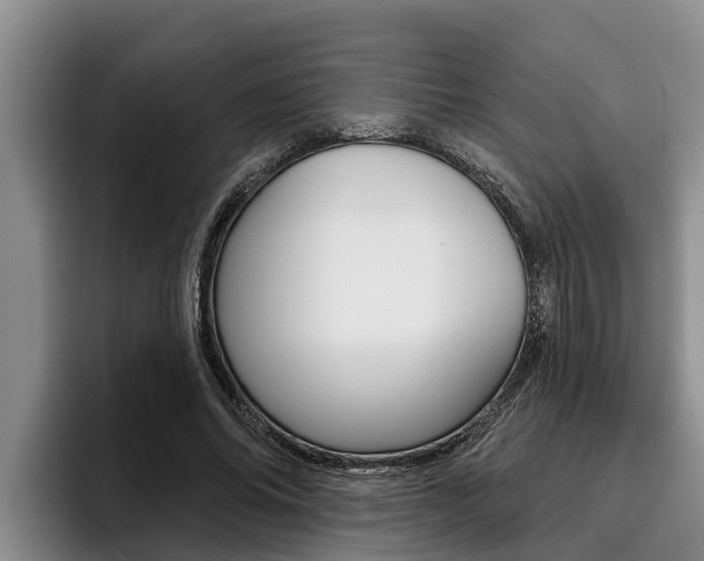 X0000096210686200801181009