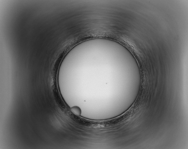 X0000096210687200801181009