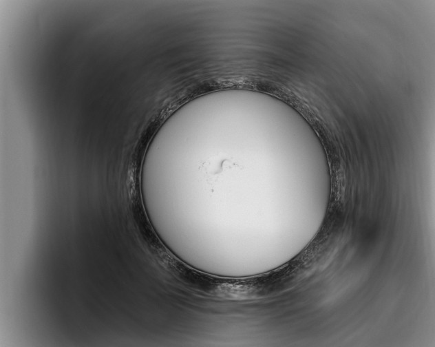 X0000096210699200801181009