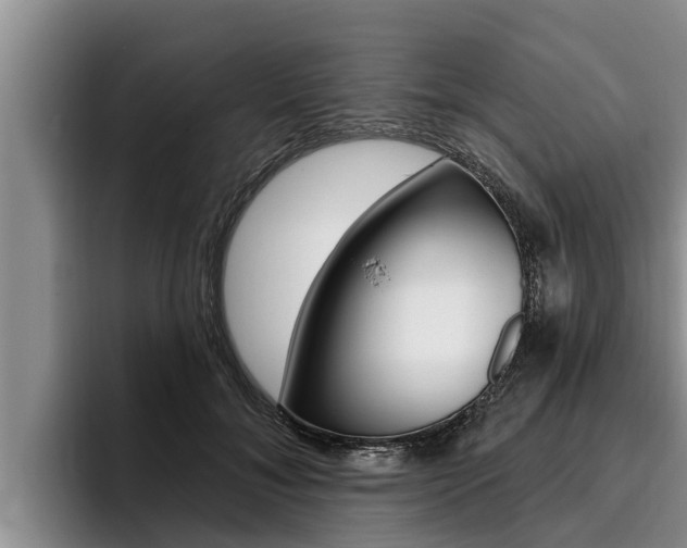 X0000096210700200801181009