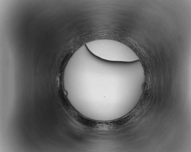 X0000096210703200801181009