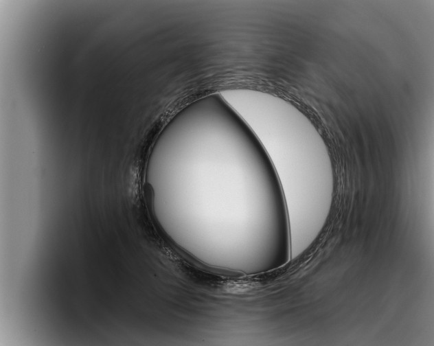 X0000096210708200801181009