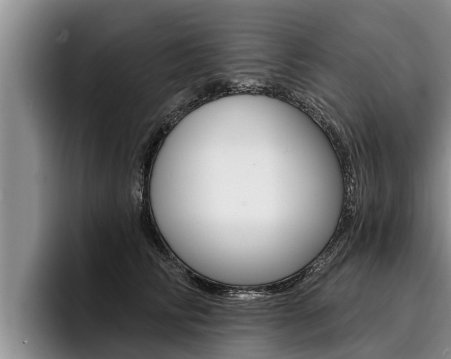 X0000096210710200801181009
