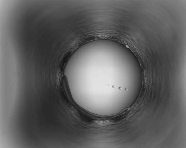 X0000096210712200801181009