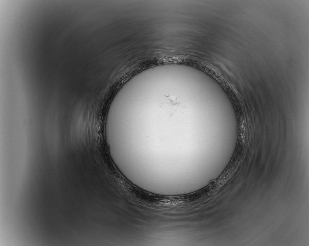X0000096210714200801181009