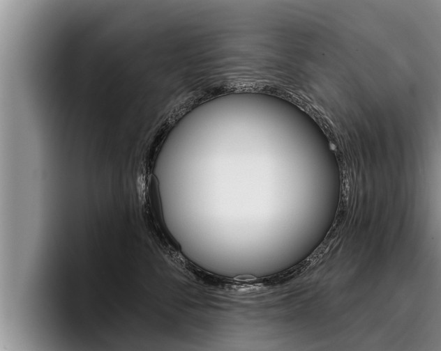 X0000096210716200801181009
