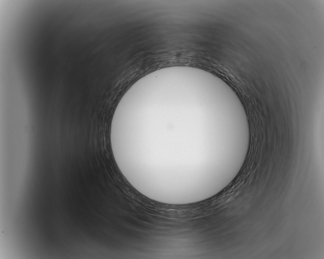 X0000096210720200801181009