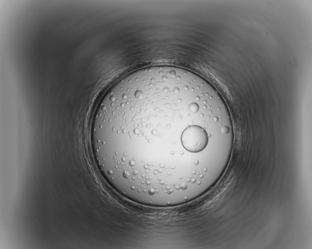 X0000096210721200801181008