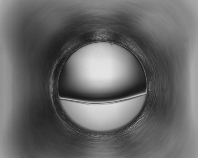 X0000096210722200801181008