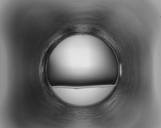 X0000096210723200801181008