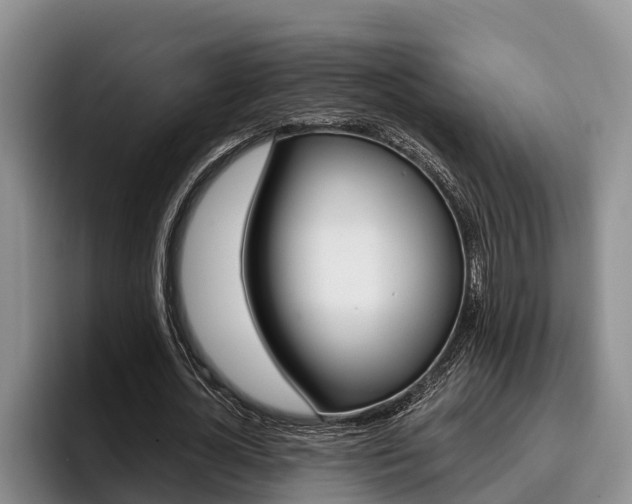X0000096210724200801181008