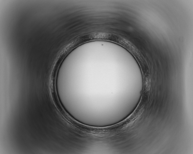 X0000096210725200801181008