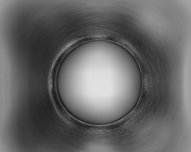 X0000096210726200801181008