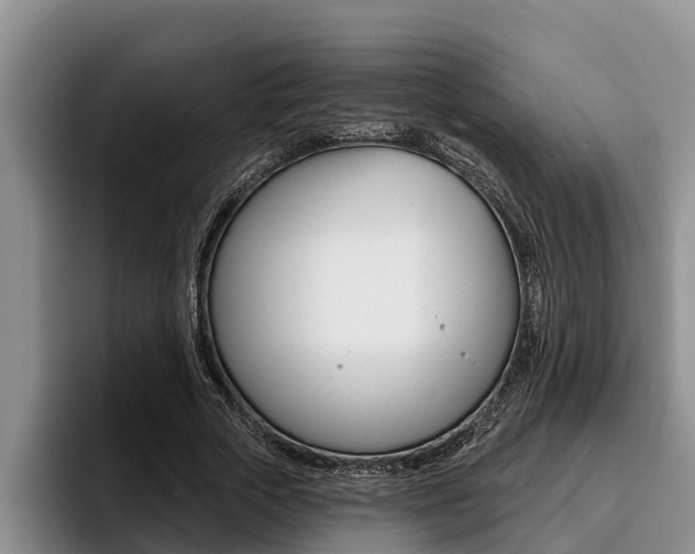 X0000096210729200801181009