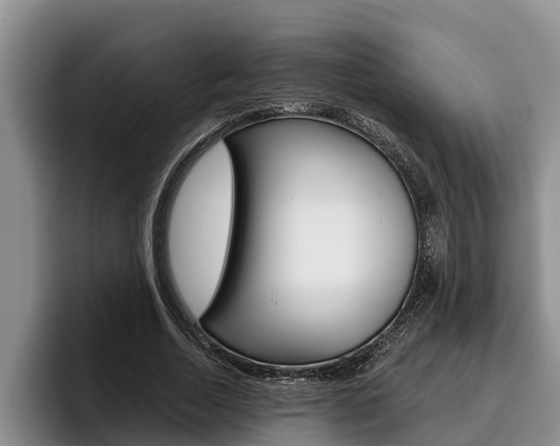 X0000096210730200801181009