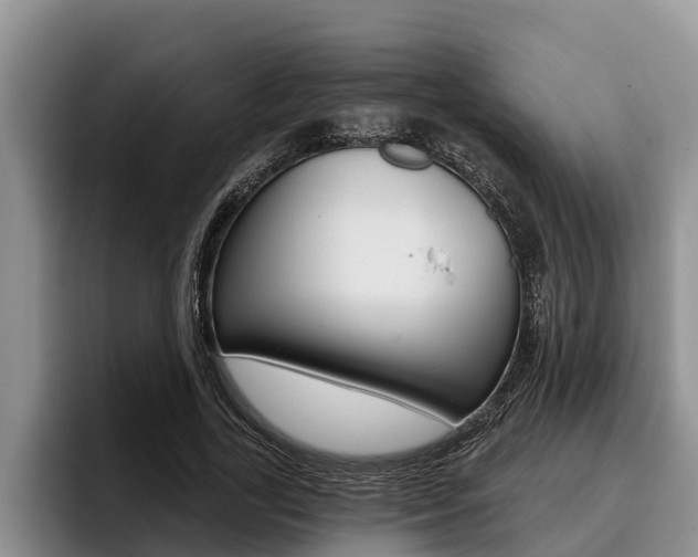 X0000096210731200801181009