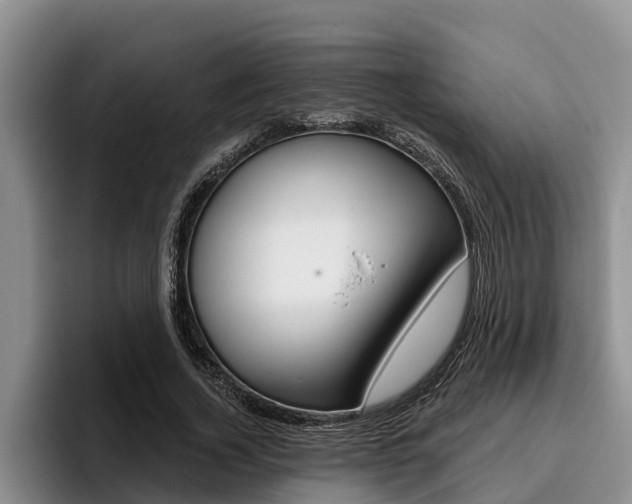 X0000096210732200801181009