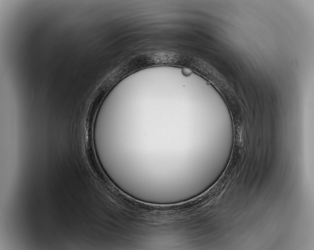 X0000096210733200801181009