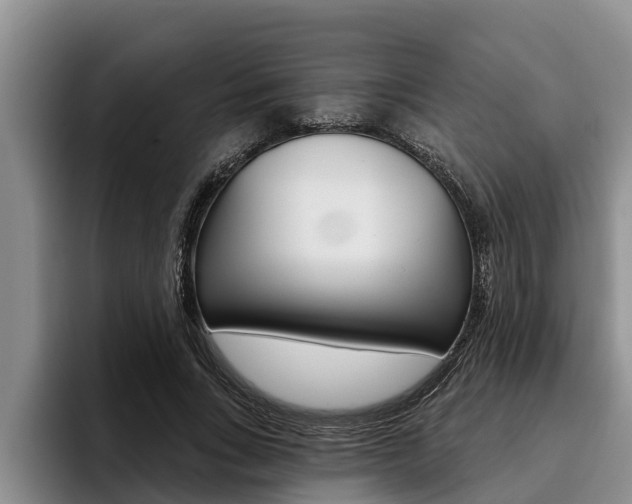 X0000096210735200801181009