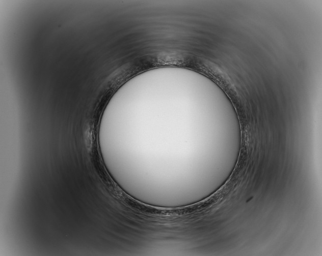 X0000096210741200801181009