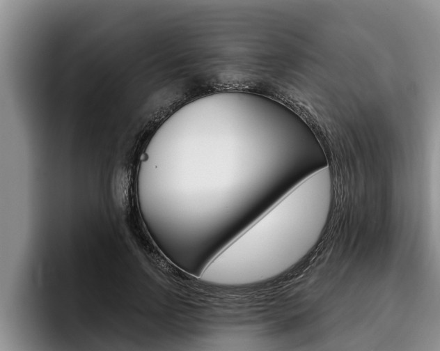 X0000096210742200801181009