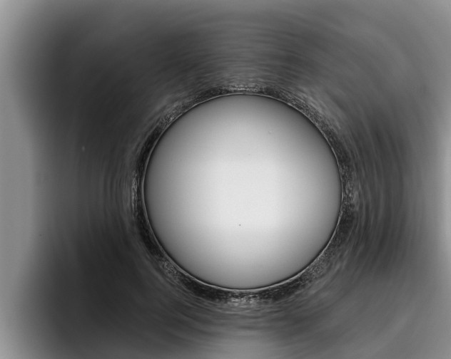 X0000096210744200801181009