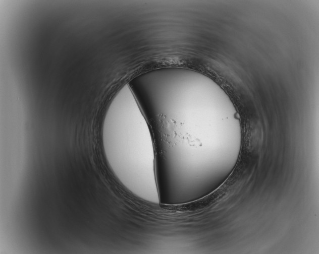 X0000096210747200801181009