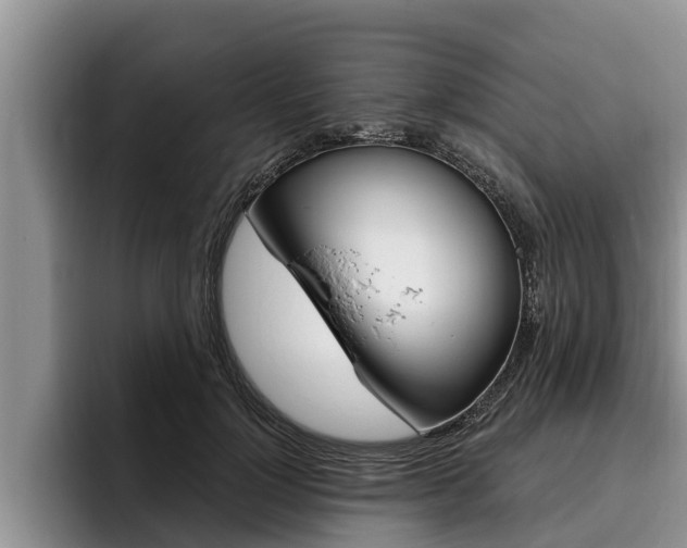 X0000096210748200801181009