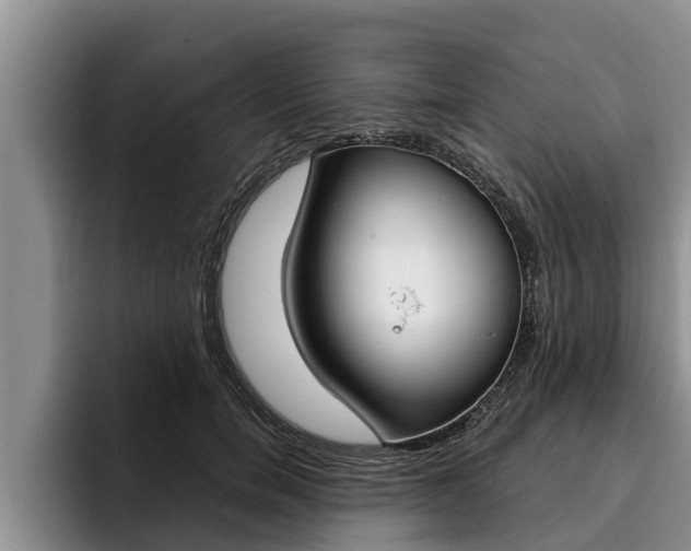 X0000096210750200801181009