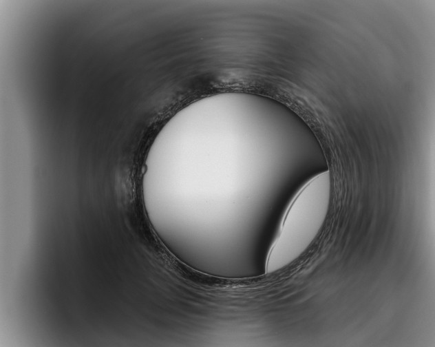 X0000096210751200801181009