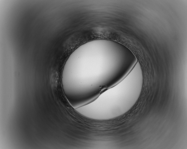 X0000096210752200801181009