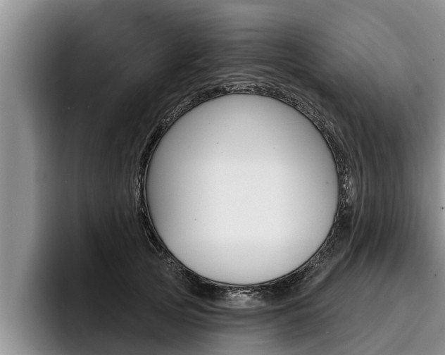 X0000096210753200801181009