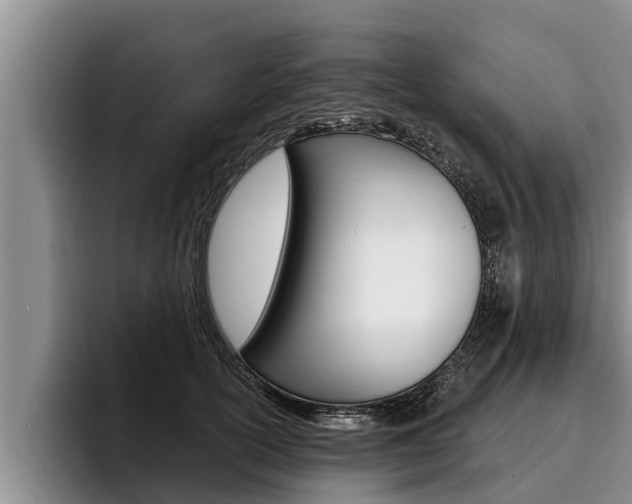 X0000096210754200801181009
