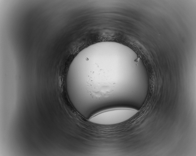 X0000096210759200801181009