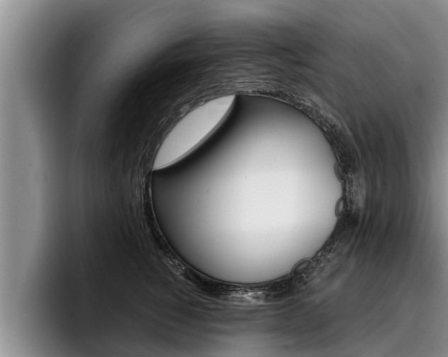 X0000096210760200801181009
