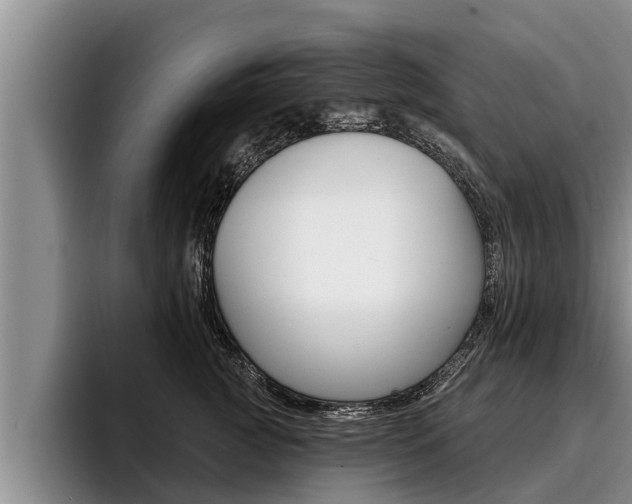 X0000096210761200801181009