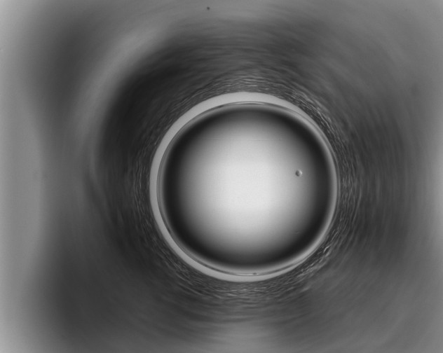 X0000096210762200801181009