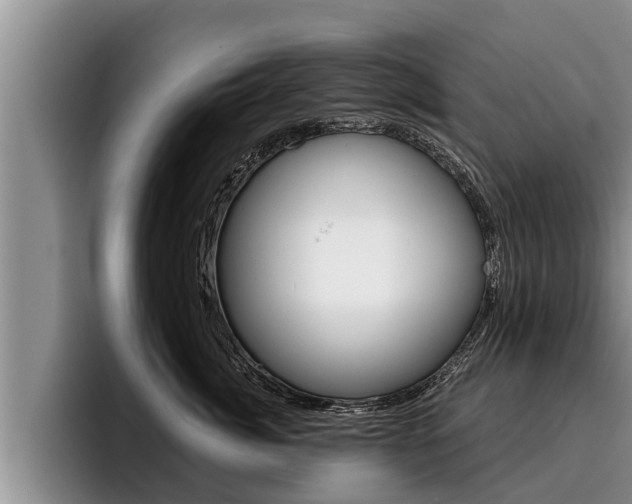 X0000096210764200801181009