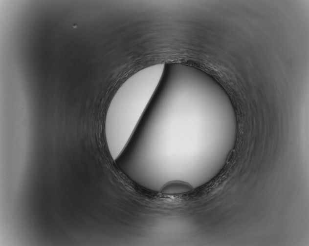 X0000096210768200801181009