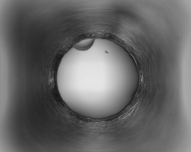 X0000096210771200801181008